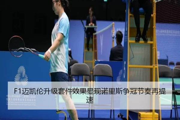 F1迈凯伦升级套件效果显现诺里斯争冠节奏再提速 | xingkong